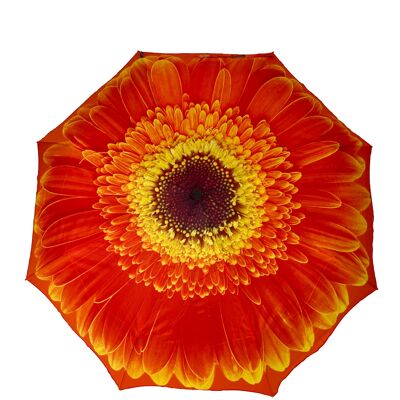 StormKing Orange Daisy Folding Umbrella Gift Boxed - SKFFOD