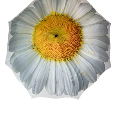 StormKing White Daisy Folding Umbrella Gift Boxed - SKFFWD