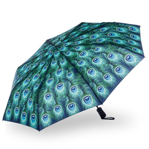 Storm King Peacock Folding Umbrella Gift Boxed - SKNFPEA