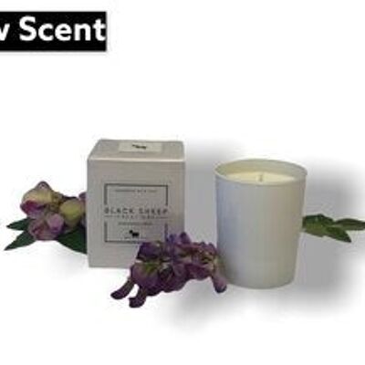 Plum & Bramble Signature Candle - White Gloss Jar