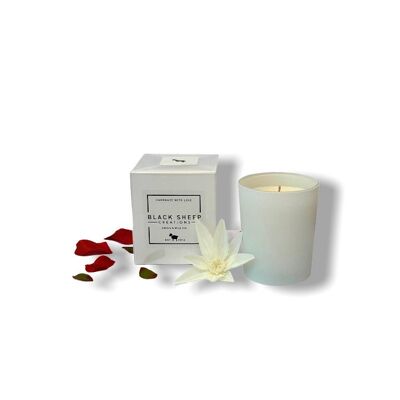 Cassis & Wild Fig Signature Candle - White Gloss Jar