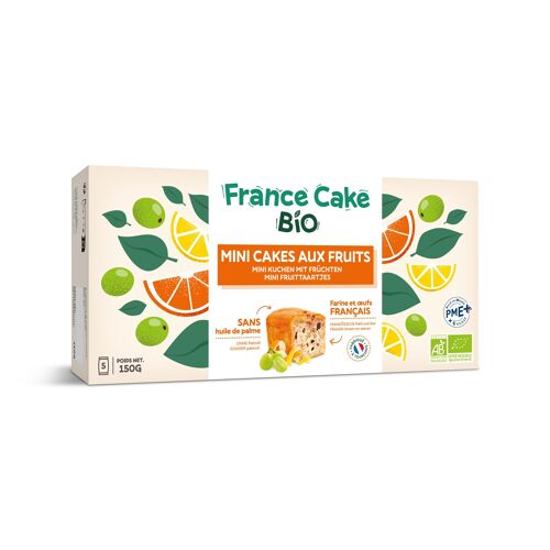 Mini cake aux fruits - France Cake Bio