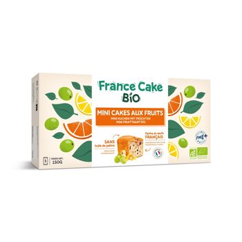 Mini cake aux fruits - France Cake Bio 1
