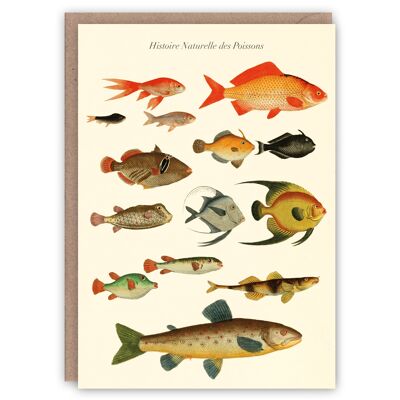 Histoire des Poissons