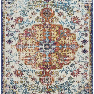 Nova NV12 Medallion Multi rug / NOVA120170NV12