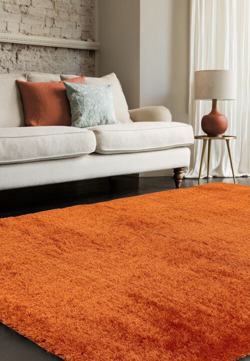 Payton Orange rug / PAYT200290ORAN