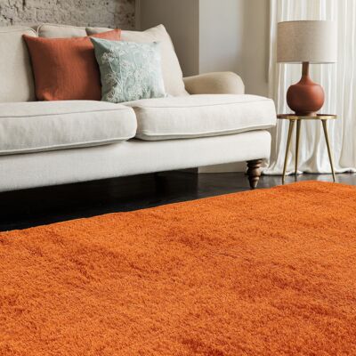 Payton Orange rug / PAYT200290ORAN