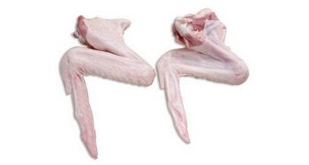 Ailes de Canard - Nourriture Crue pour Chien - 1kg 2