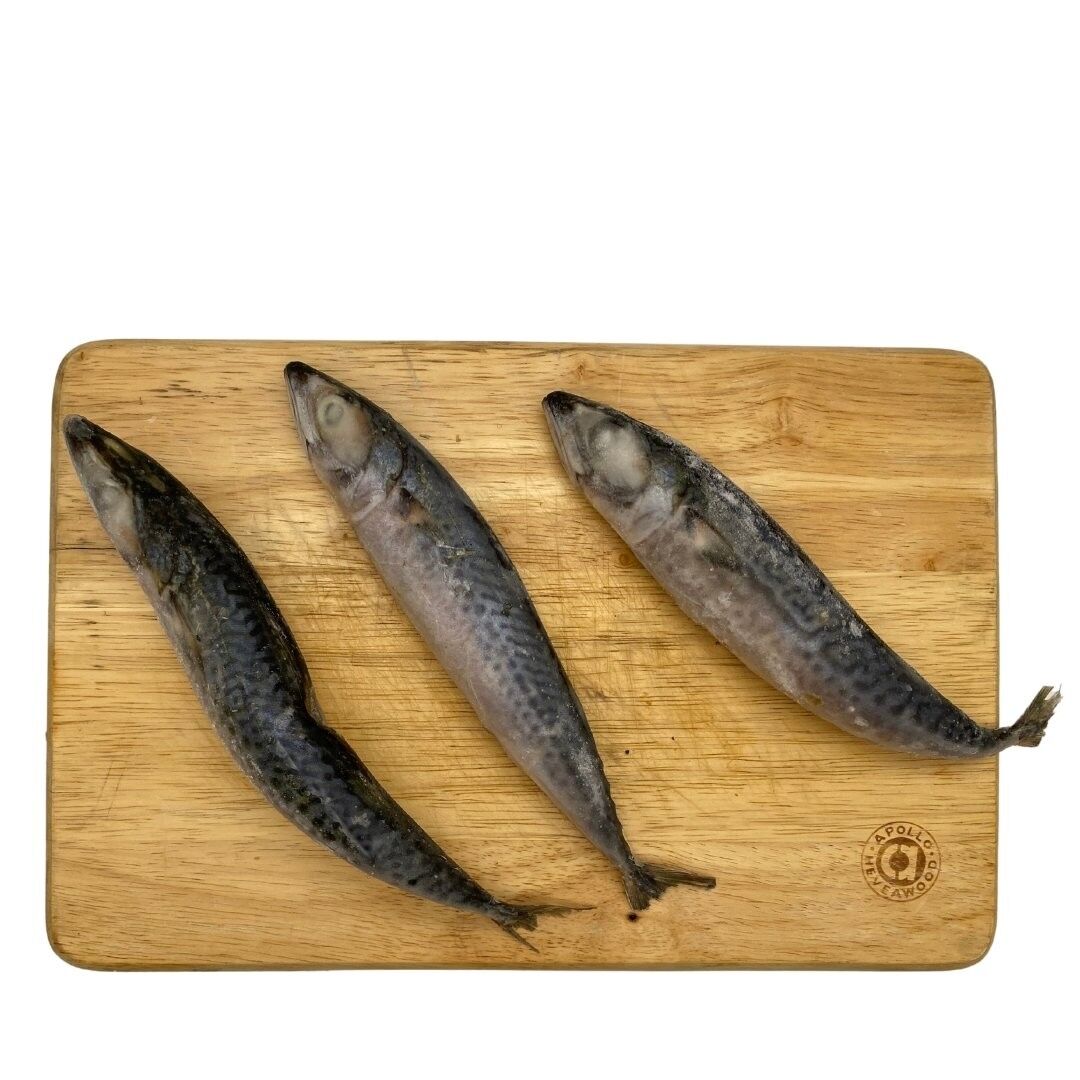 Buy wholesale Whole Mackerel Raw Dog Food 1kg