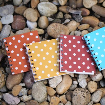 Silkscreen polka dot notebook