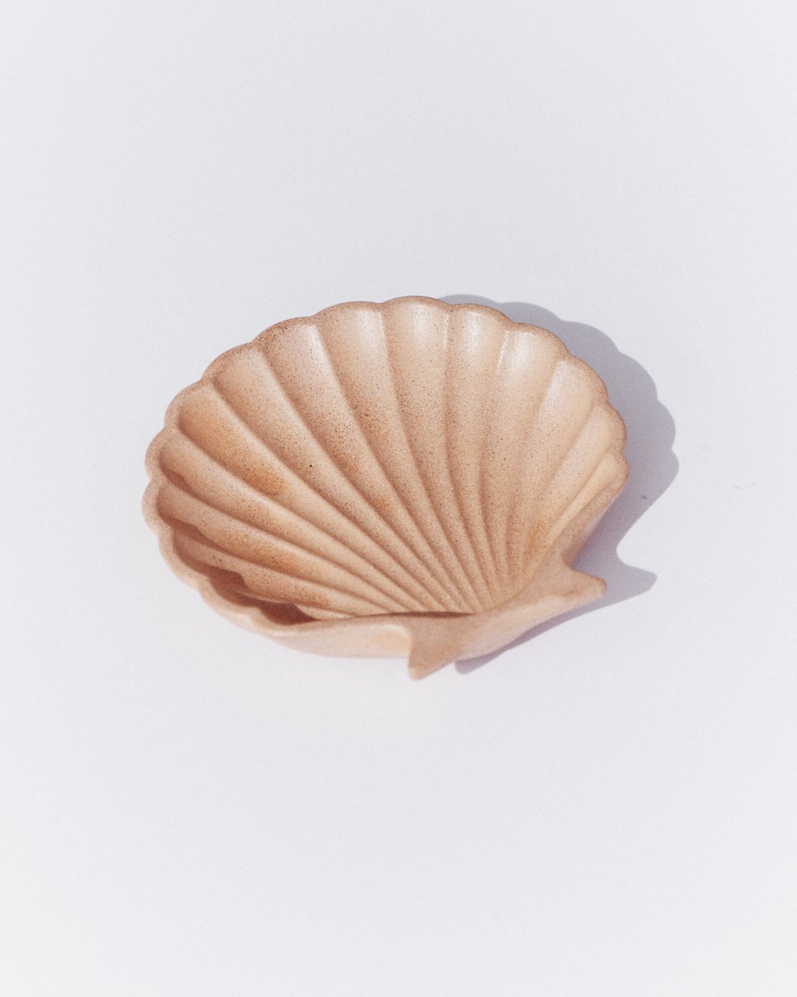 Dish ‘Le Racou’ Sienna