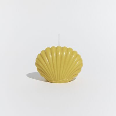 Small shell candle ‘Sainte-Marie-de-la-Mer’ Mimosa