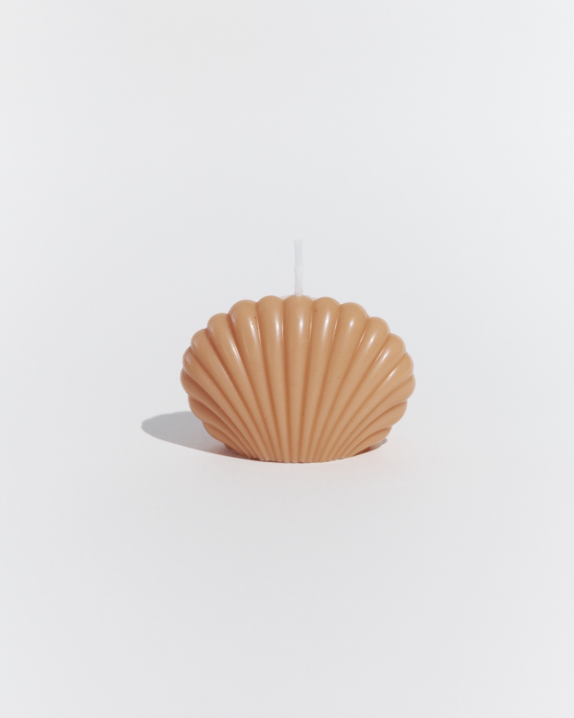 Small shell candle ‘Sainte-Marie-de-la-Mer’ Laurier
