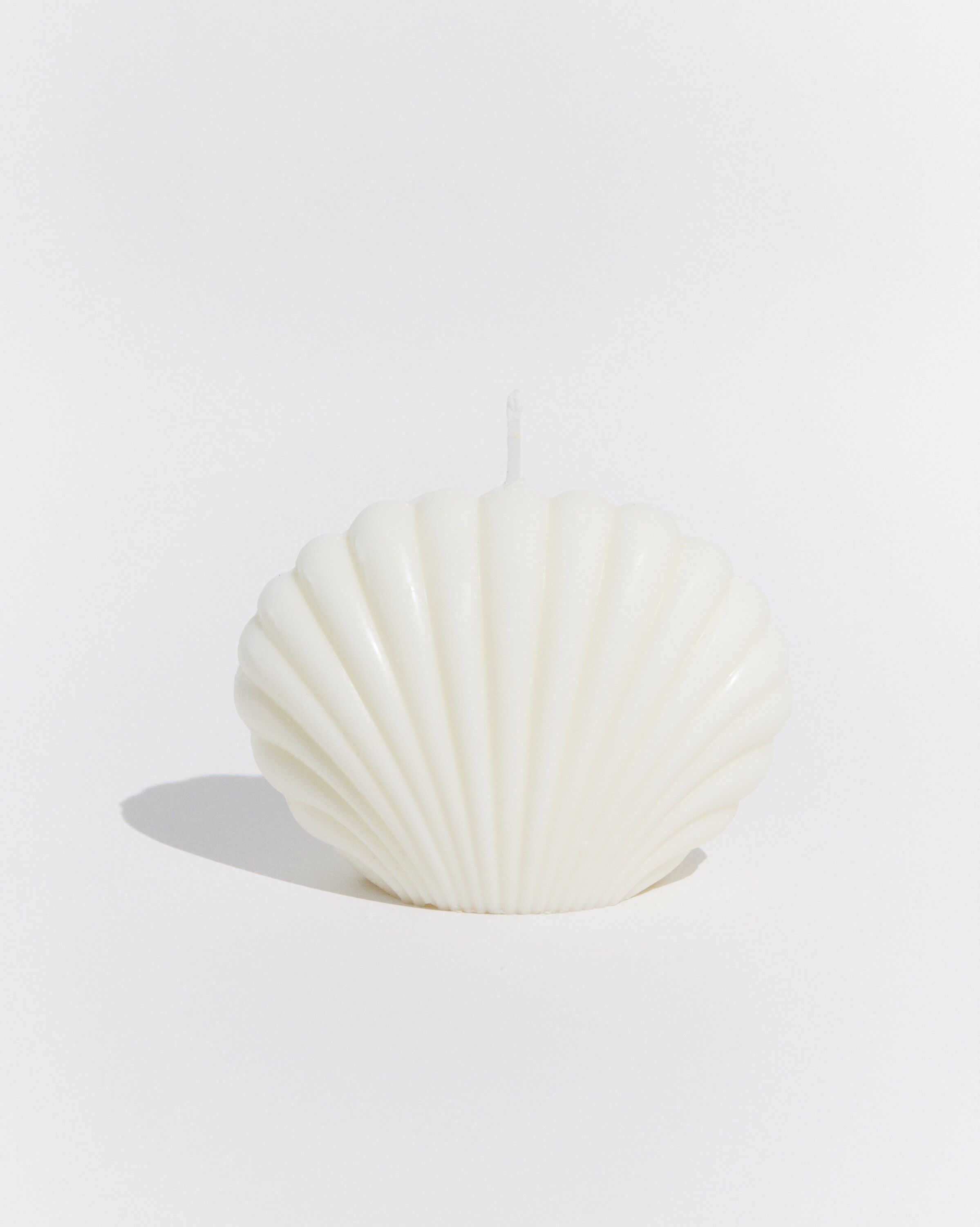 Large shell candle 'Toreille' Jasmin