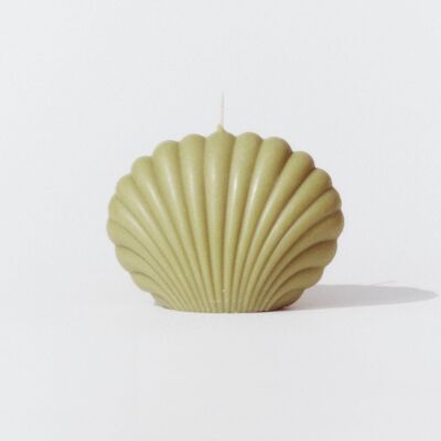 Large shell candle 'Toreille' Olive