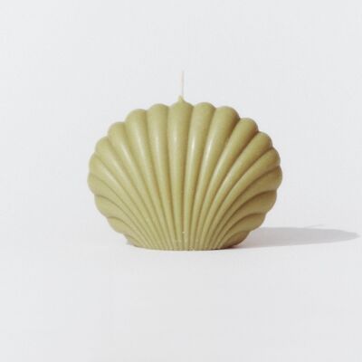 Large shell candle 'Toreille' Olive