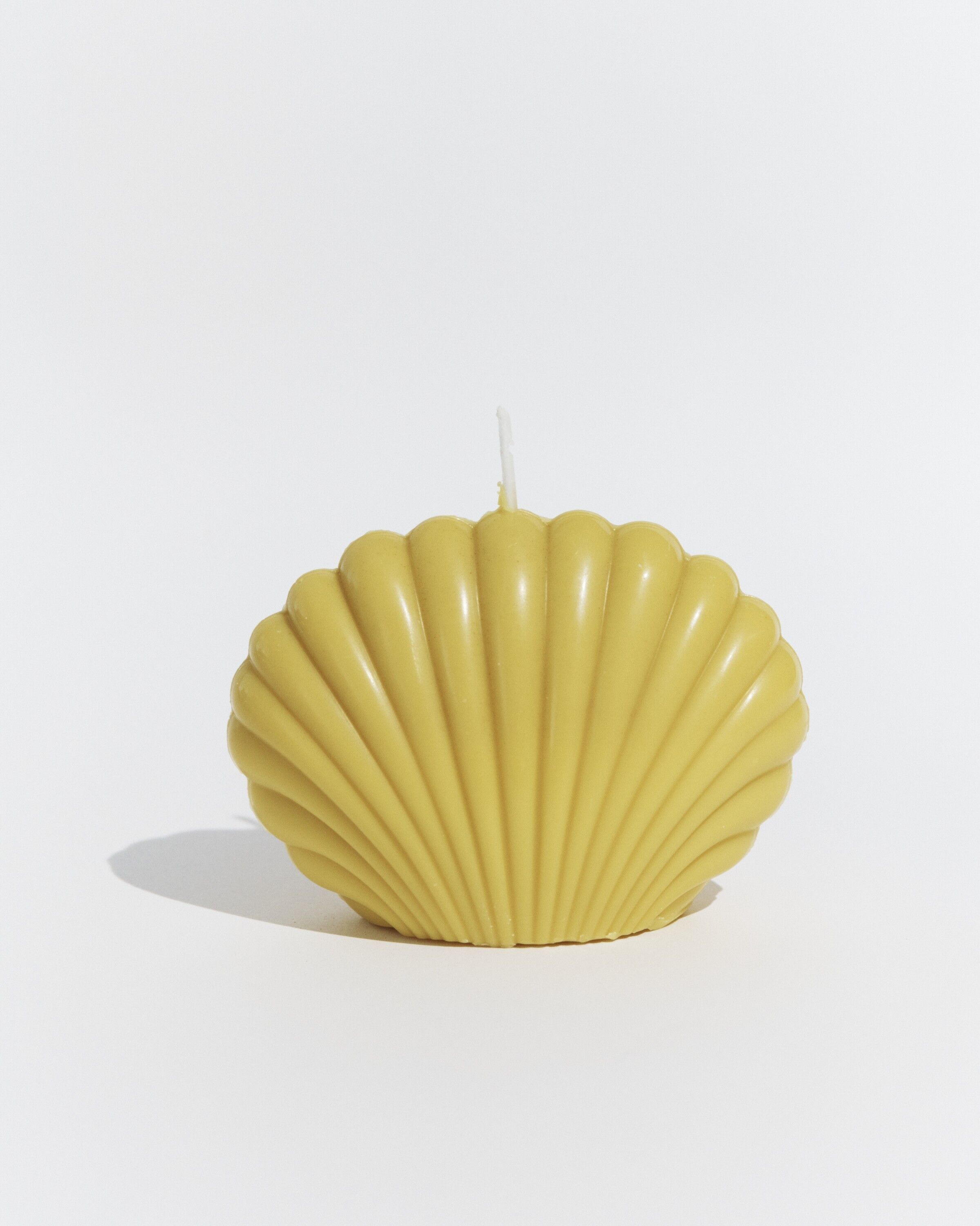 Large shell candle 'Toreille' Mimosa