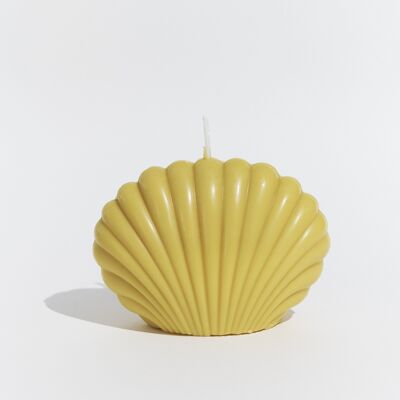 Large shell candle 'Toreille' Mimosa