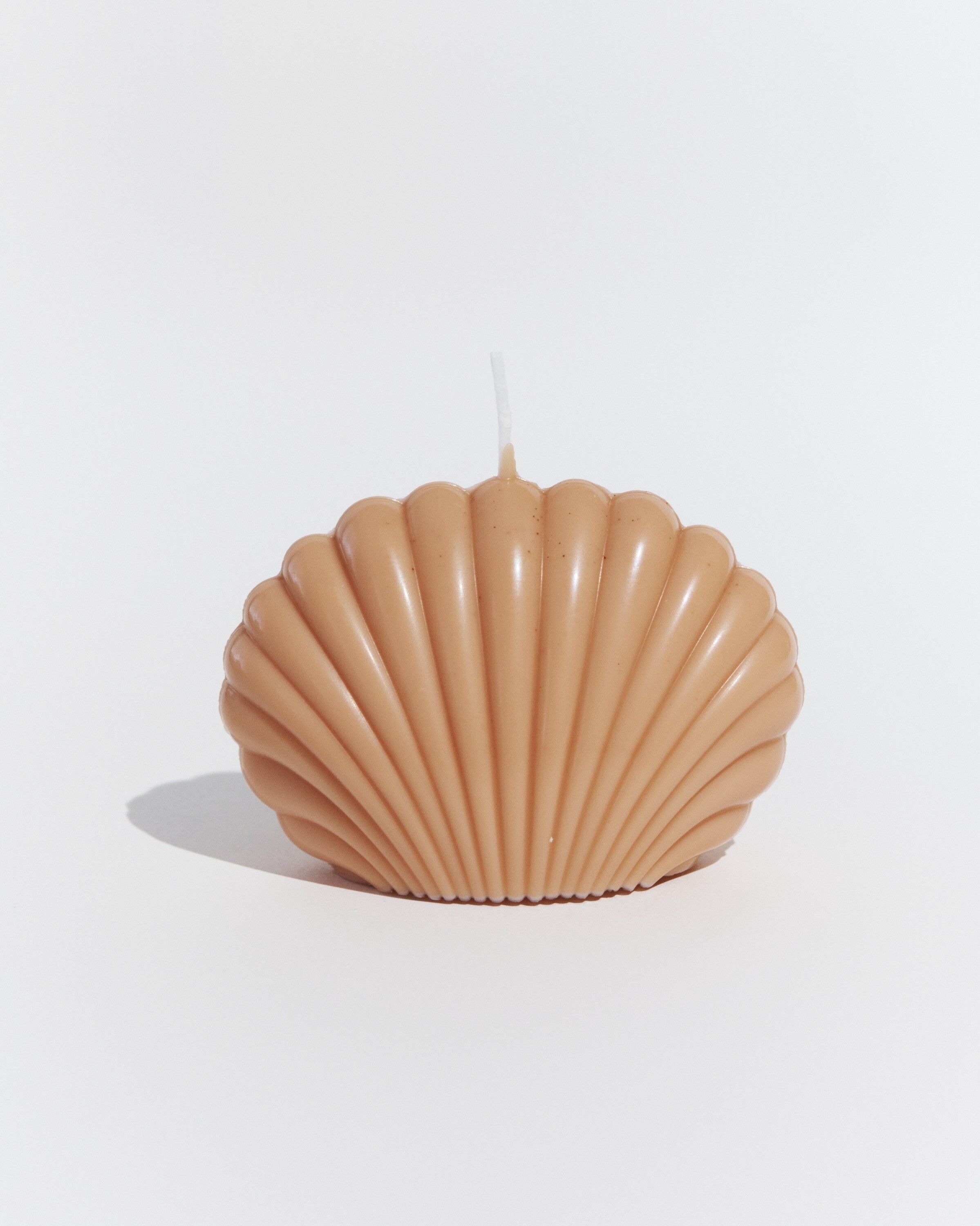Large shell candle ‘Toreille’ Laurier
