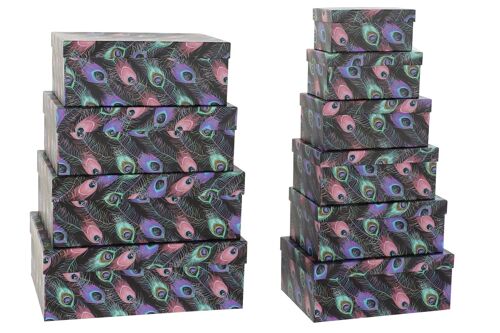 Caja set 10 carton 43,5x33,5x15,5 plumas negro