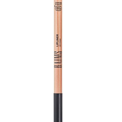 Lipliner 20 Chai