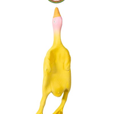 LATEX DUCK GM