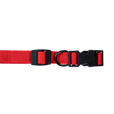 Collier nylon rouge pour chiens 2cm