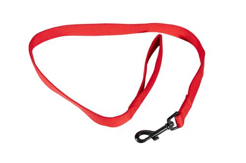 Laisse nylon rouge pour chiens 2.5cmx100cm