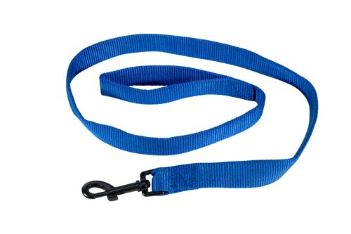 Laisse nylon bleu pour chiens 2.5cmx100cm