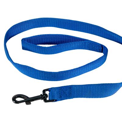 Laisse nylon bleu pour chiens 2.5cmx100cm