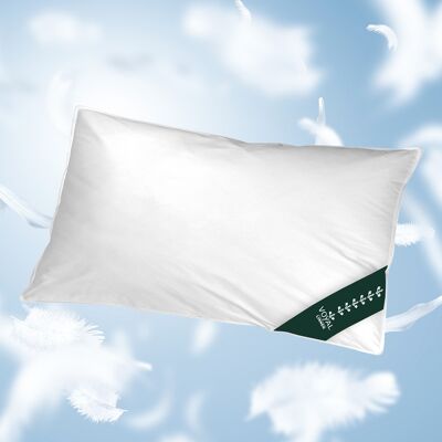 Coussin nuage de Vienne Oreiller en plumes pour dormeurs sur le ventre, 40 x 80 cm