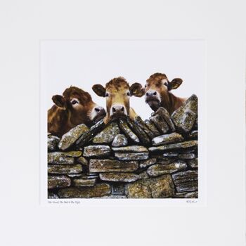 MOUNTED Limited Edition Print THE BORN MUCKY COLLECTION - The Good, The Bad & The Ugly 1