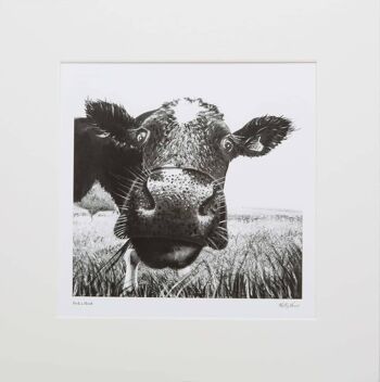 MOUNTED Limited Edition Print THE BORN MUCKY COLLECTION - Peek a Moo 1