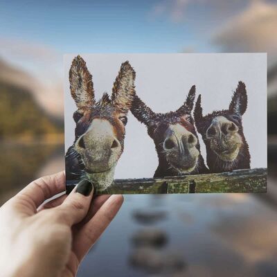 The Three Amigos - The Greeting Card