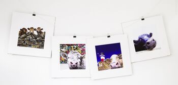 MOUNTED Limited Edition Print THE BORN MUCKY COLLECTION - Udderly Cool blue Moo selfie 2