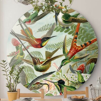 Kolibries -⌀ 80cm