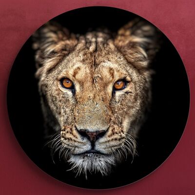 Lioness -⌀ 40cm