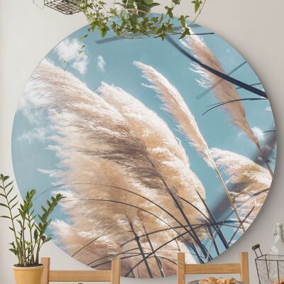 Pampas Grass Blue Sky -⌀ 100cm