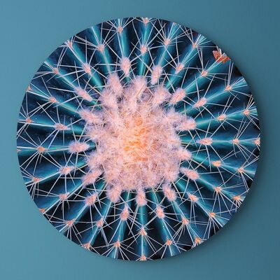 Blue Cactus -⌀ 40cm