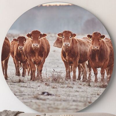 Limousin Cows -⌀ 40cm