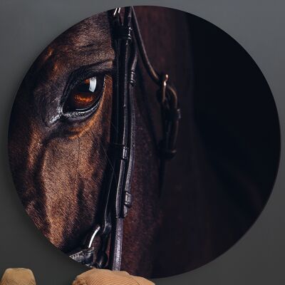 Horse -⌀ 40cm