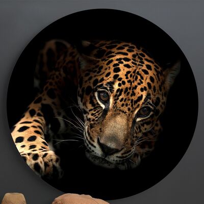 Jaguar -⌀ 40cm