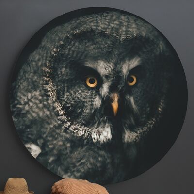 Great Grey Owl -⌀ 40cm