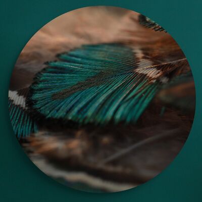 Close Up Peacock Feather -⌀ 140cm