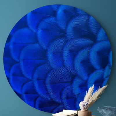 Indian Peafowl Feathers -⌀ 140cm