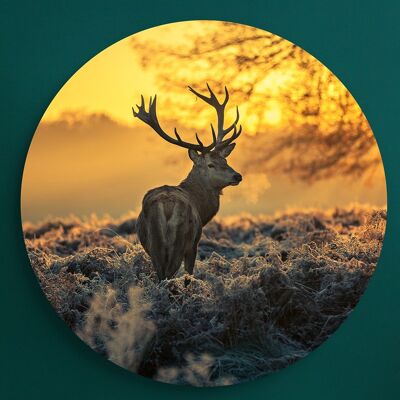 Morning Deer -⌀ 140cm