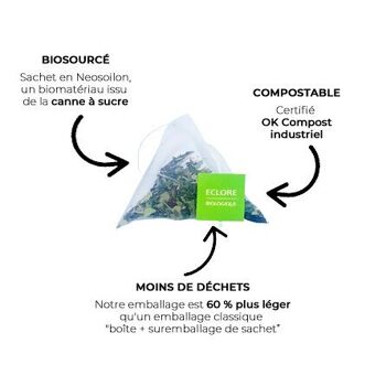 Tisane Bio Curcuma-Gingembre Sachets pyramides compostables (x20) - Ayurveda Curcuma 2