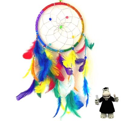 Shiny foil dream catchers in various colours