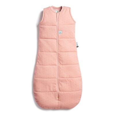 Cocoon Swaddle Bag Baies 2.5 TOG