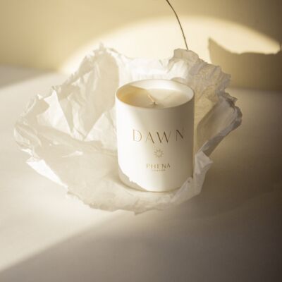 Edition 02: Dawn